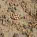 7.Perforated Pottery at Mound of  Ganweri wala, Cholistan,21